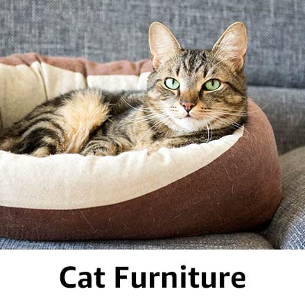 Cat Furniture🐱