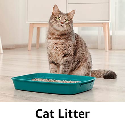 Cat Litter🐈‍