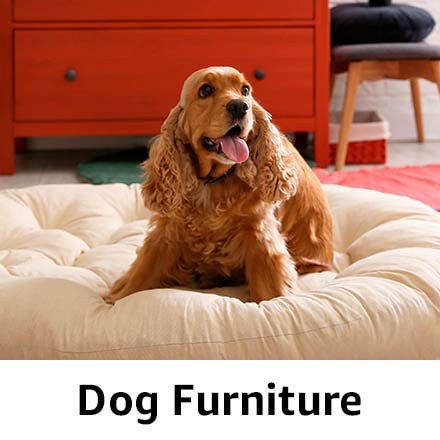 Dog Furniture🐶
