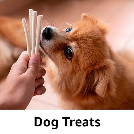 Dog Treats🐶