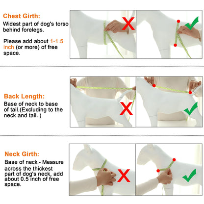 Dog/Cat Hoodie with Bunny Ears®