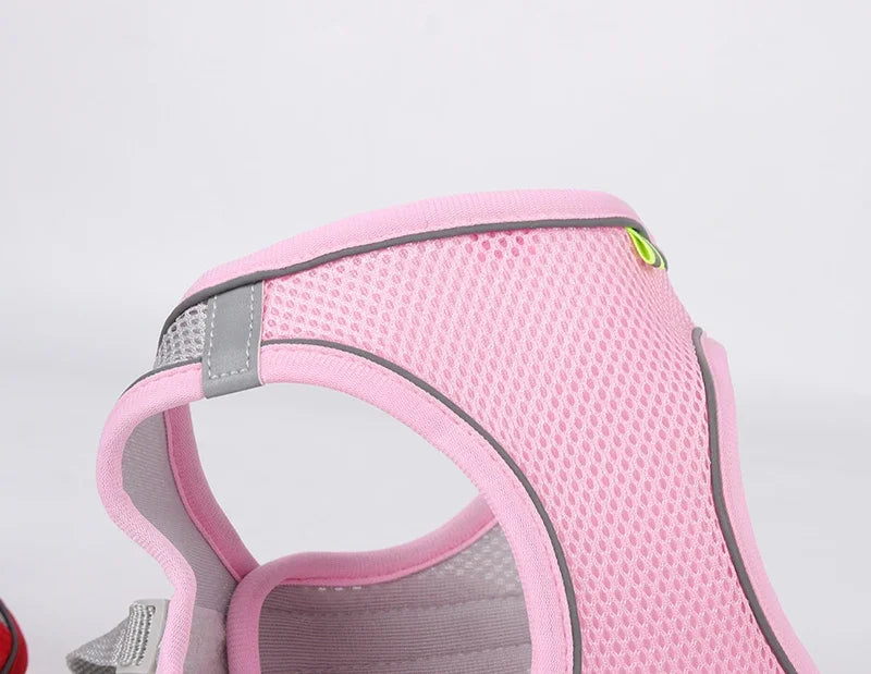 Puppy & Cat  Harness Set Accessories Adjustable®