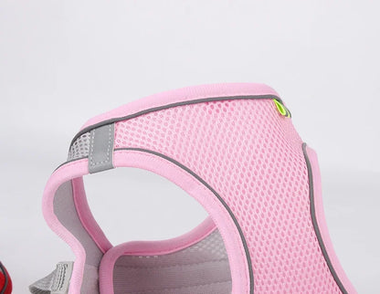 Puppy & Cat  Harness Set Accessories Adjustable®