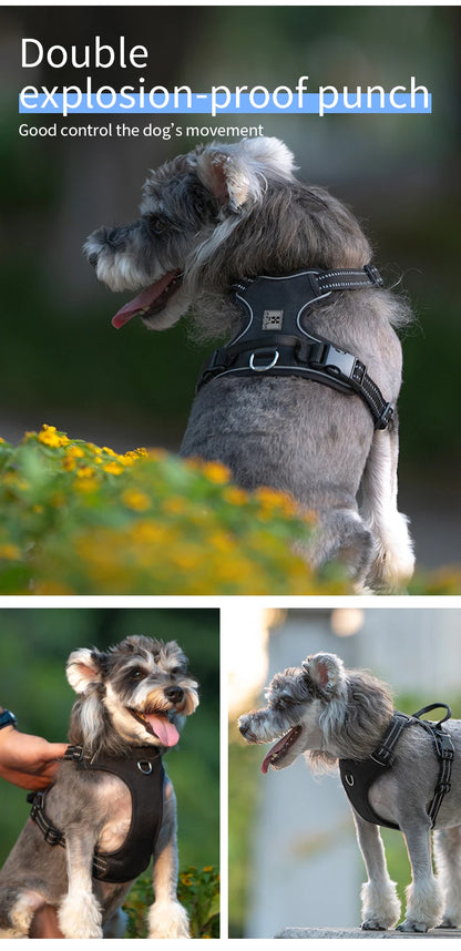 Harness Adjustable for Small Medium Large Dogs Outdoor Walking®