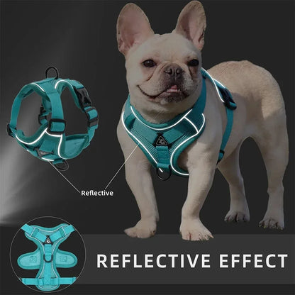 Dog/Cat Harness and Leash Set Adjustable®