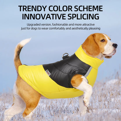 Waterproof Winter Dog/Cat Clothes®