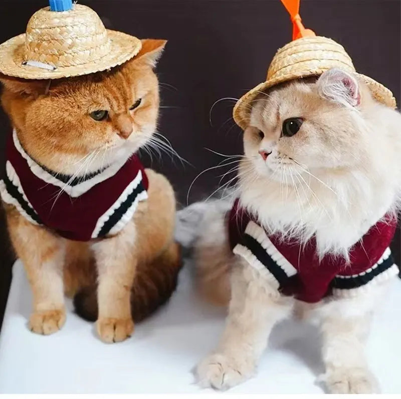 Winter Warm Pet Dog/Cat®