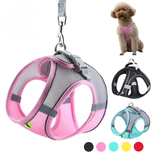 Puppy & Cat  Harness Set Accessories Adjustable®