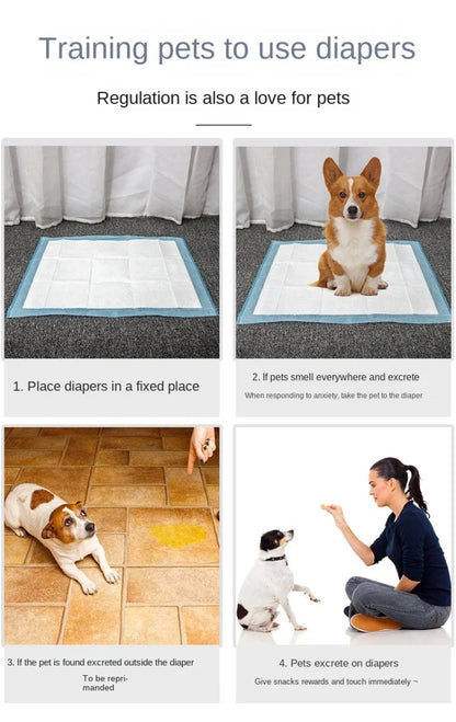 Dog-Cat Training Pads | Globale Pet Zone®