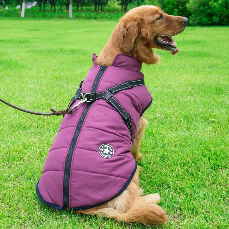 Large Pet Dog Jacket With Harness Winter Warm Dog Clothes®