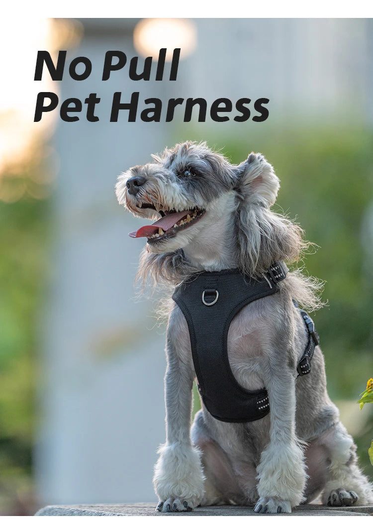 Harness Adjustable for Small Medium Large Dogs Outdoor Walking®