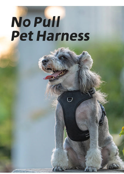 Harness Adjustable for Small Medium Large Dogs Outdoor Walking®