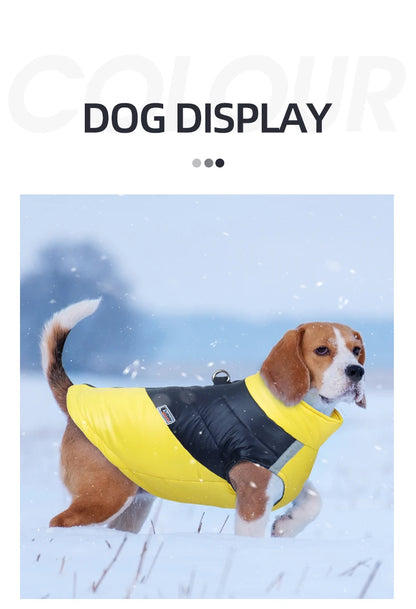 Waterproof Winter Dog/Cat Clothes®