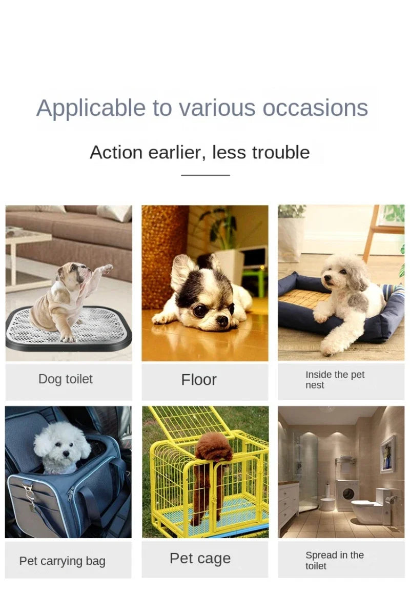 Dog-Cat Training Pads | Globale Pet Zone®