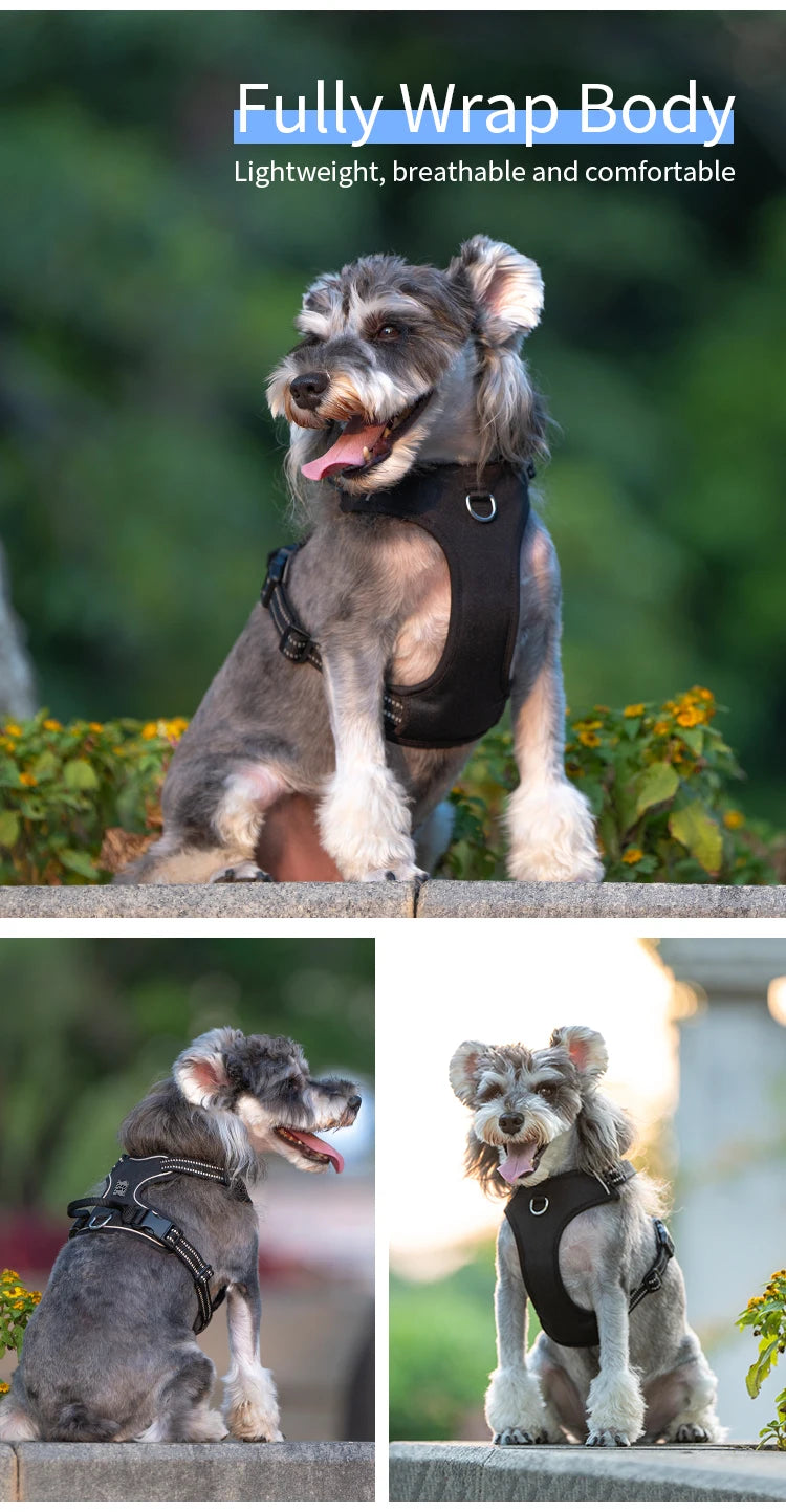 Harness Adjustable for Small Medium Large Dogs Outdoor Walking®