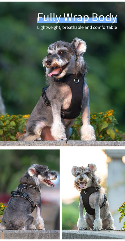 Harness Adjustable for Small Medium Large Dogs Outdoor Walking®