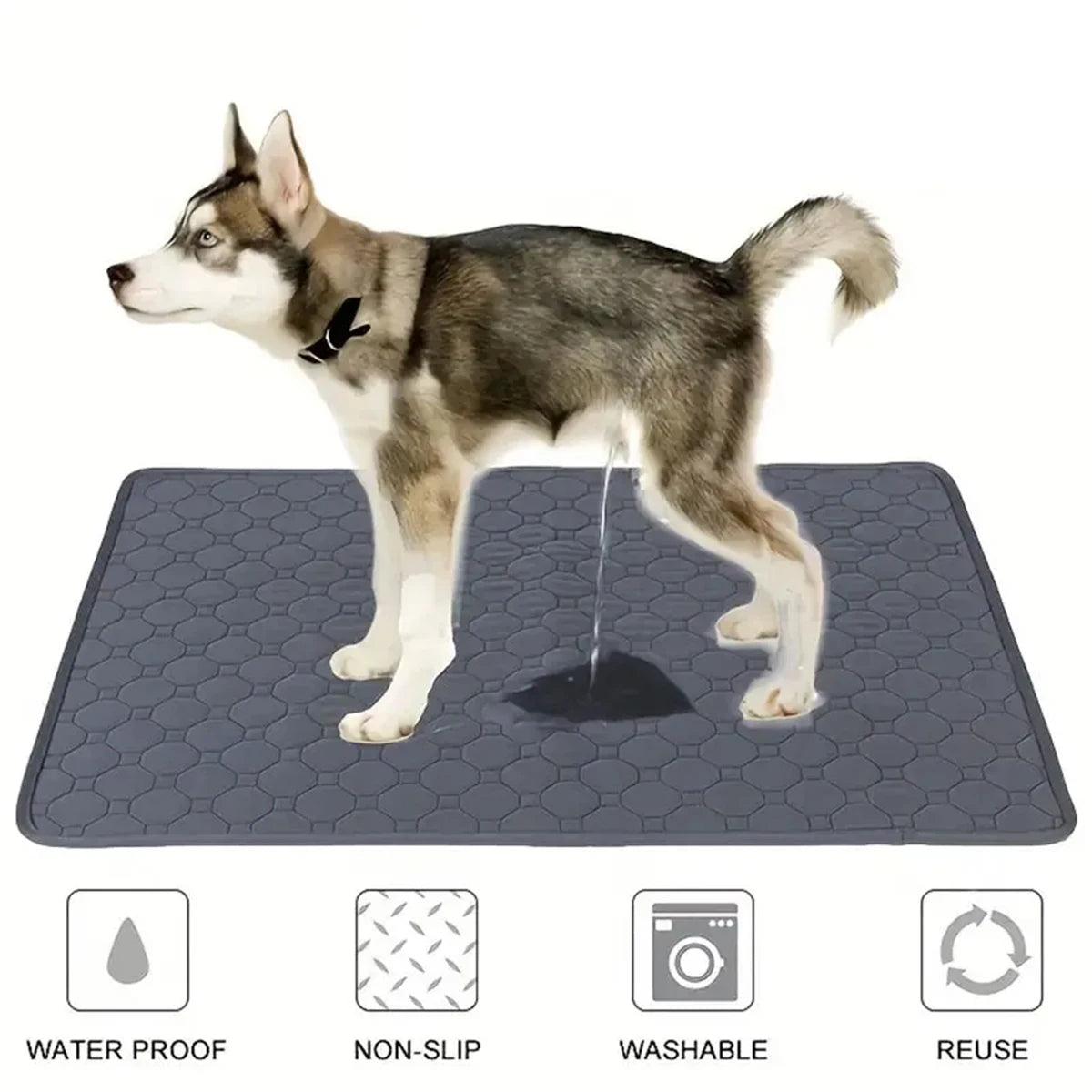 Winter Dog/Cat Pee Pad Reusable Washable ®
