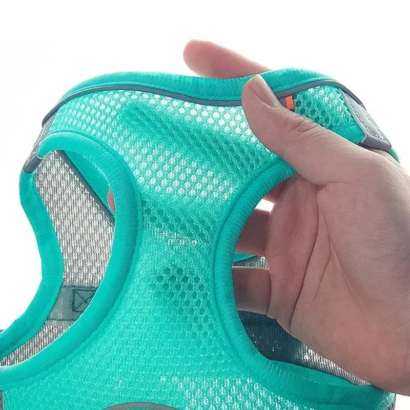 Puppy & Cat  Harness Set Accessories Adjustable®