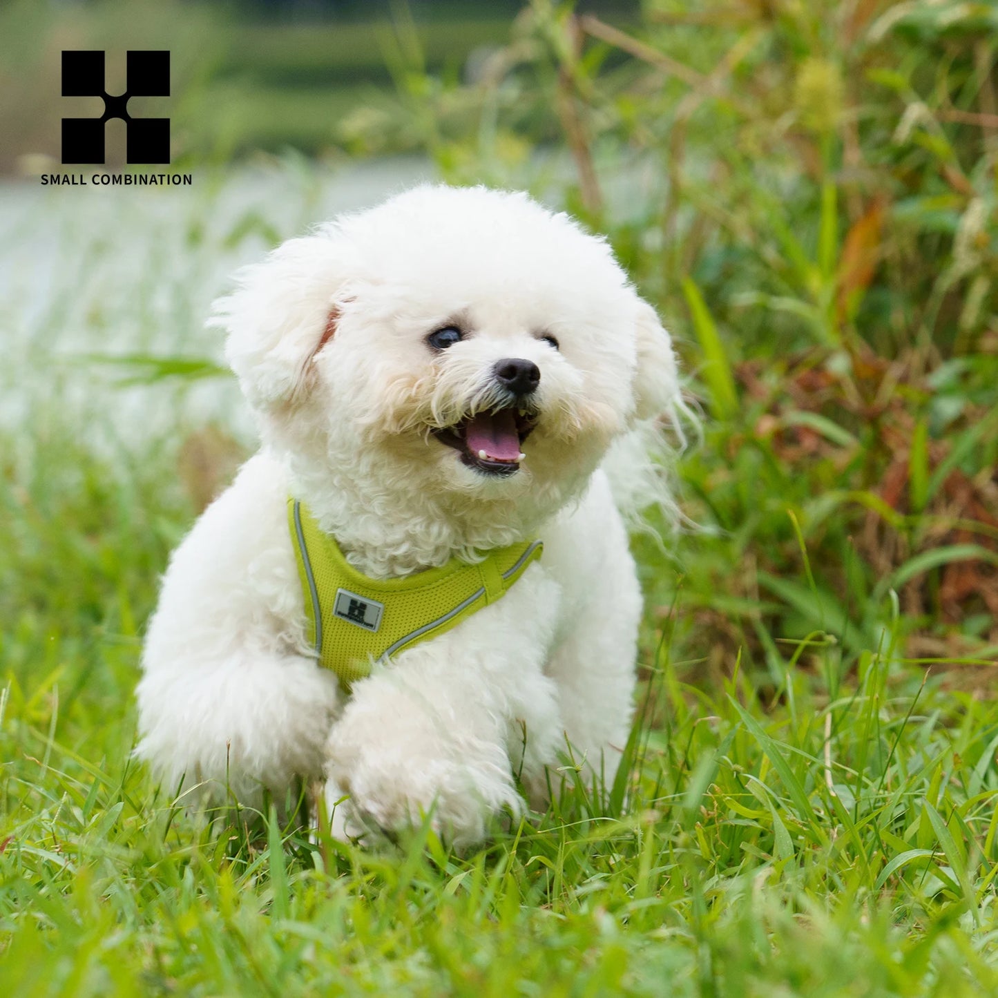 Dog Adjustable Reflective Puppy Cat Harness pet Vest®