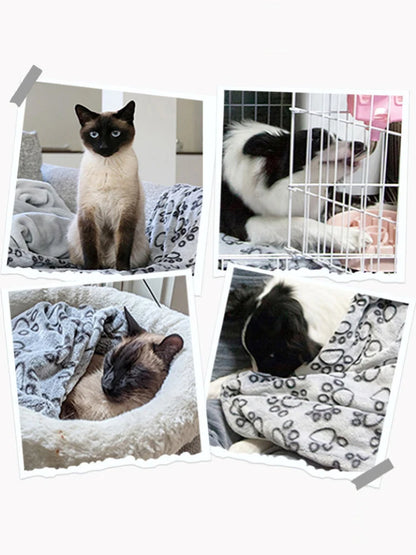Soft Fluffy High Quality Pet Blanket Cute Cartoon®